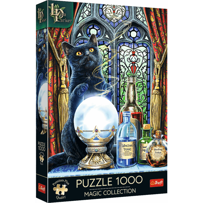 Puzzle Premium Plus Quality 1000 el. Magic Collection: Uczeń czarownicy